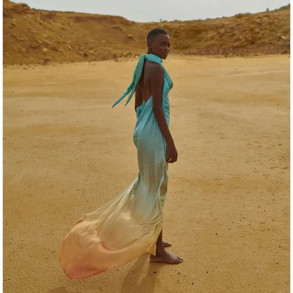 Baobab Providencia Maxi Dress